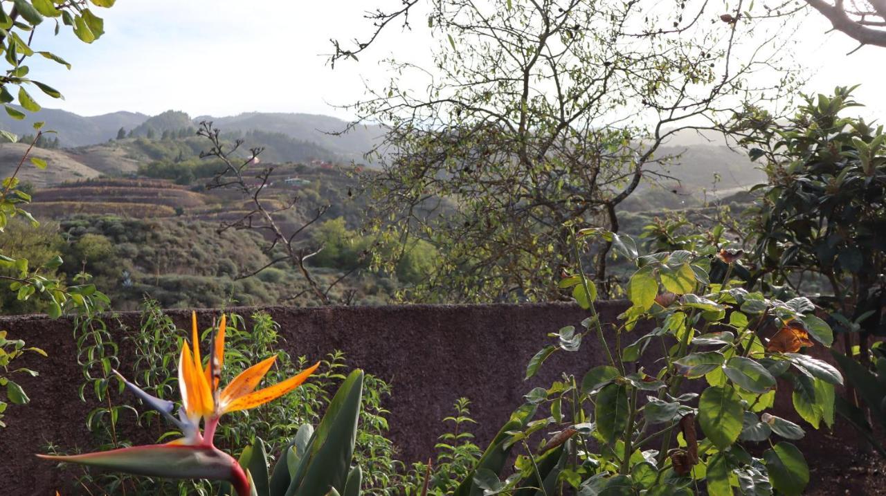 Casa Rural En San Mateo لاس بالماس دي غران كاناريا المظهر الخارجي الصورة