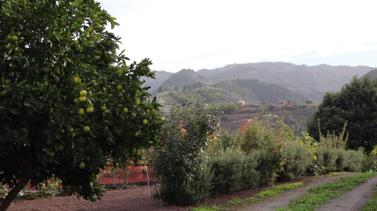 Casa Rural En San Mateo لاس بالماس دي غران كاناريا المظهر الخارجي الصورة