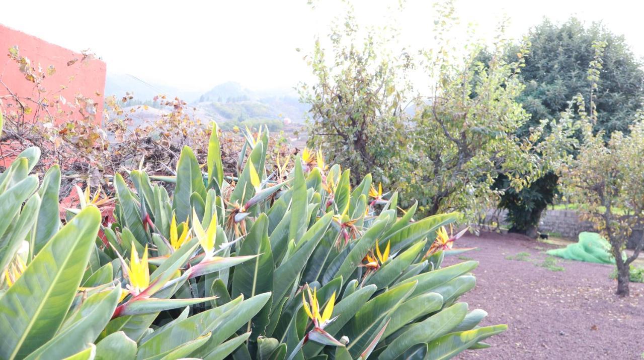 Casa Rural En San Mateo لاس بالماس دي غران كاناريا المظهر الخارجي الصورة