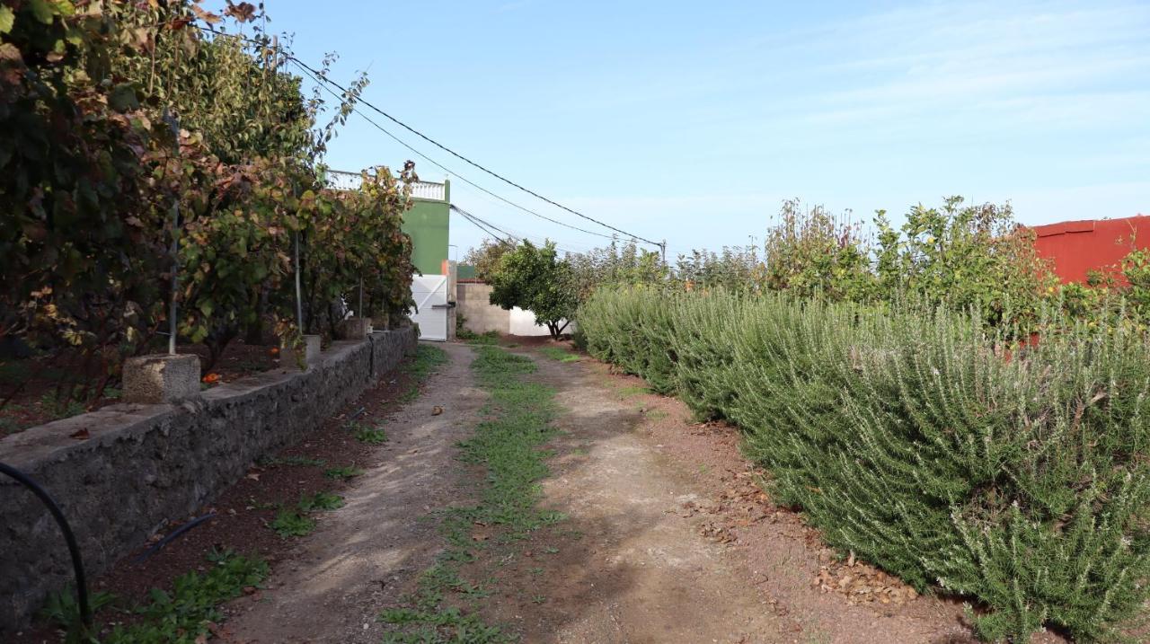 Casa Rural En San Mateo لاس بالماس دي غران كاناريا المظهر الخارجي الصورة