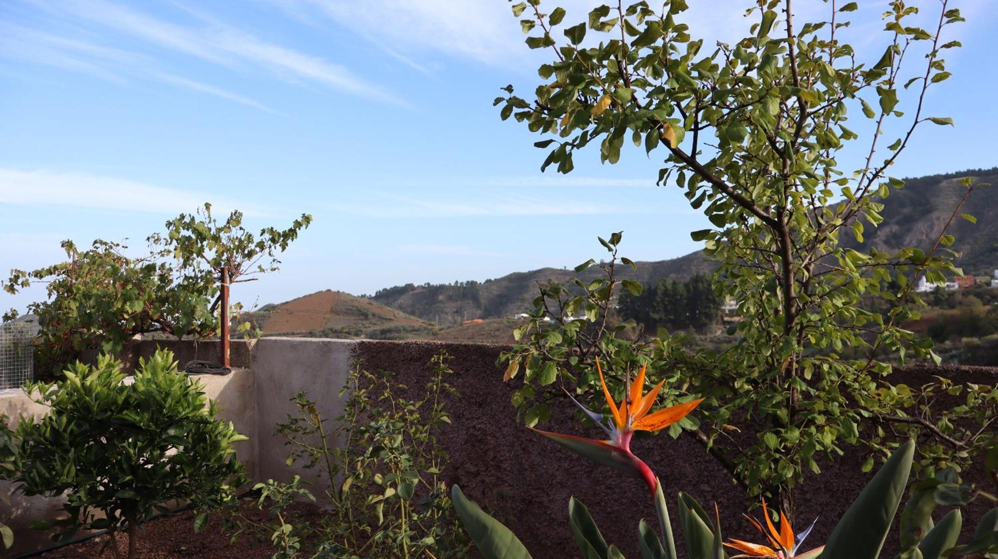Casa Rural En San Mateo لاس بالماس دي غران كاناريا المظهر الخارجي الصورة