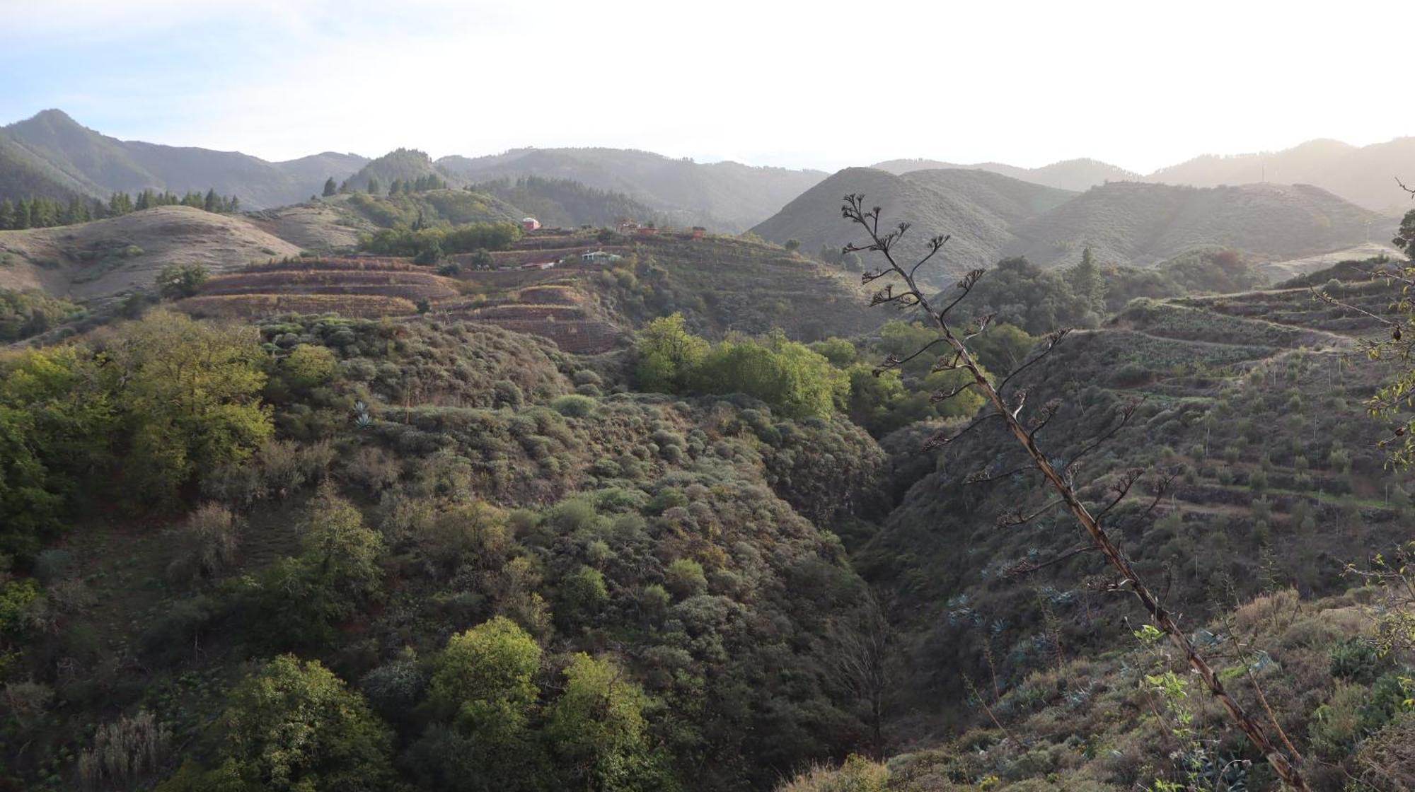 Casa Rural En San Mateo لاس بالماس دي غران كاناريا المظهر الخارجي الصورة