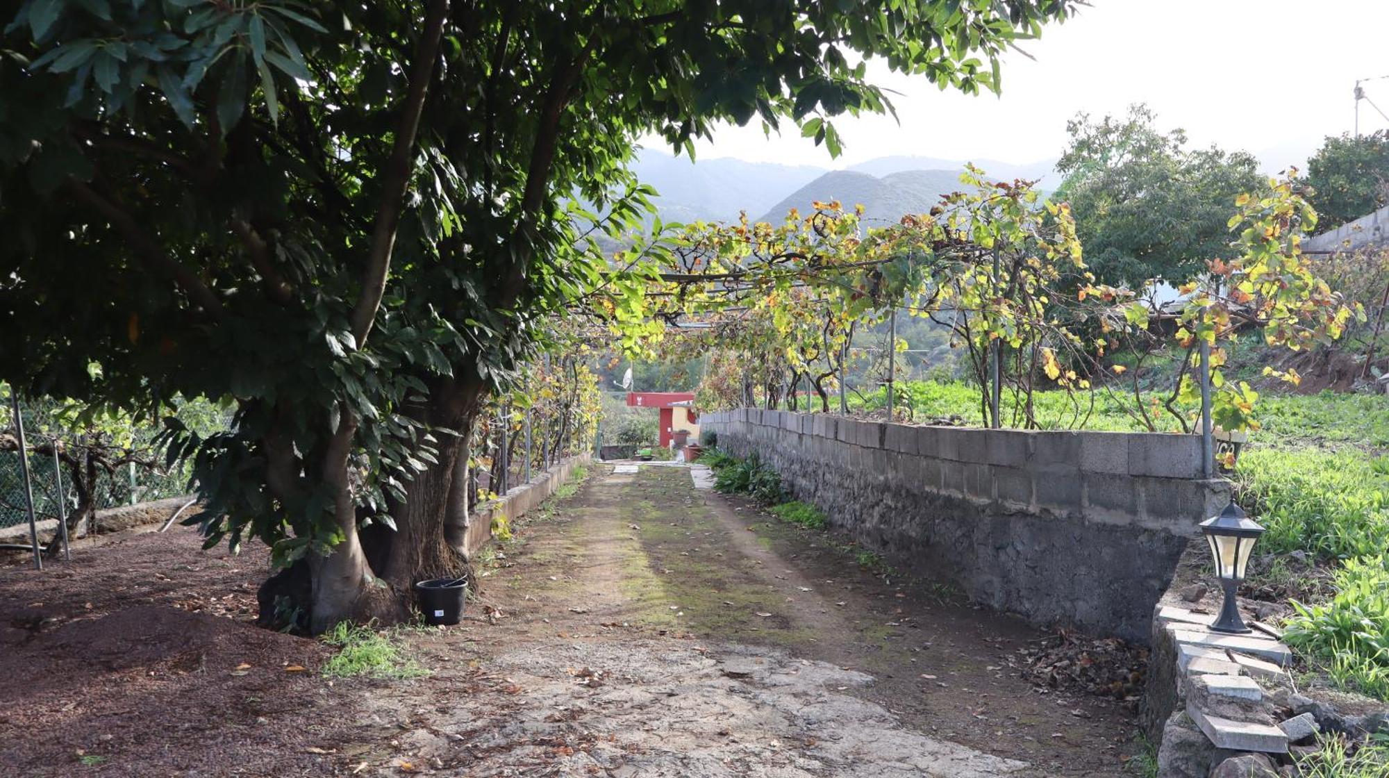 Casa Rural En San Mateo لاس بالماس دي غران كاناريا المظهر الخارجي الصورة