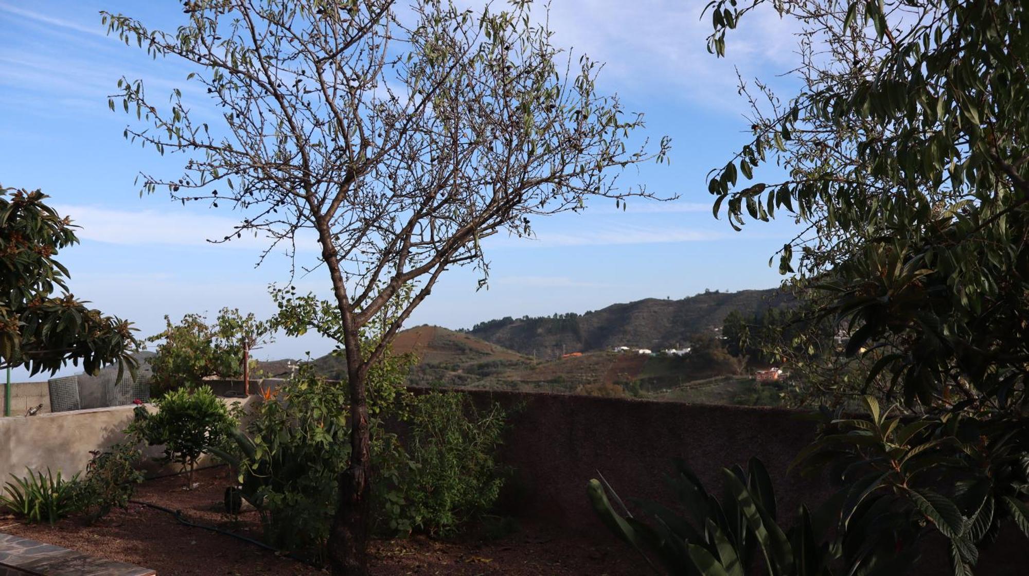 Casa Rural En San Mateo لاس بالماس دي غران كاناريا المظهر الخارجي الصورة